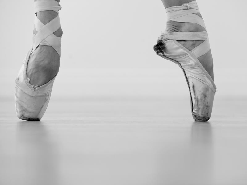 A Female Ballet Dancer Obrazarna cz