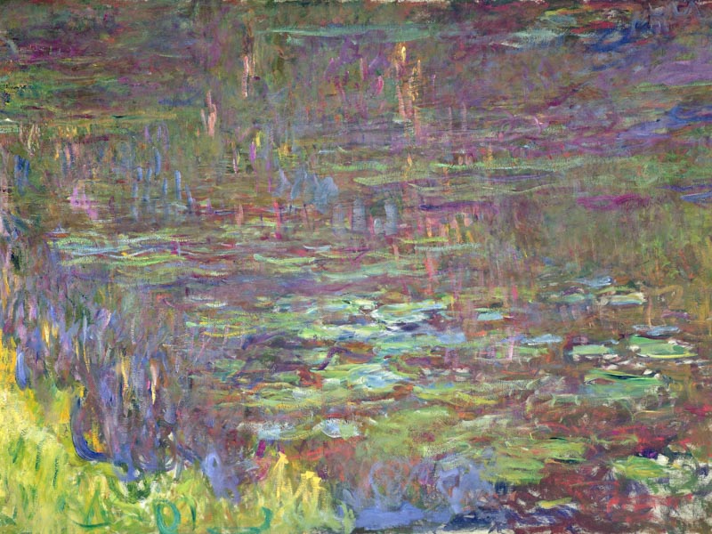 MONET